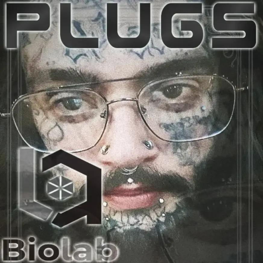 Plugs